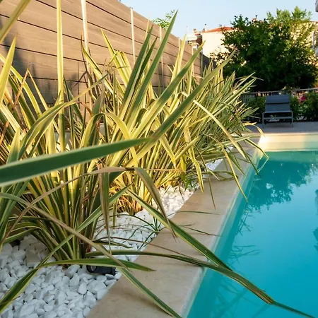 Olive 102 Apartment *