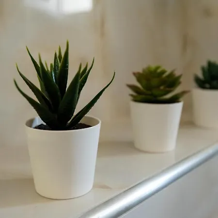 Olive 102 * Peraia (Thessaloniki)