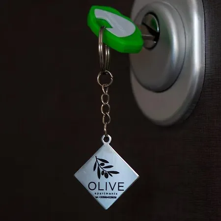Apartmán Olive 102 *