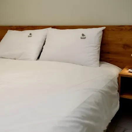 Apartmán Olive 102 *