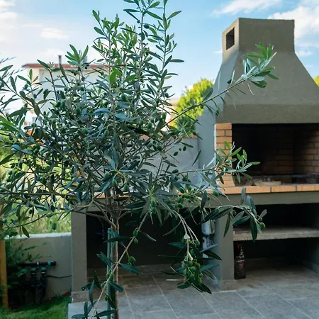 Olive 102 Peraía